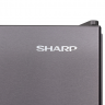 Холодильник Sharp SJ-653GHXI52R