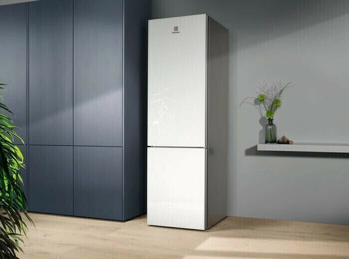 Холодильник Electrolux RNT 7ME34 G1 Холодильник Electrolux RNT 7ME34 G1