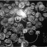 Электрическая варочная панель Zigmund & Shtain CNS 95.6 Электрическая варочная панель Zigmund & Shtain CNS 95.6