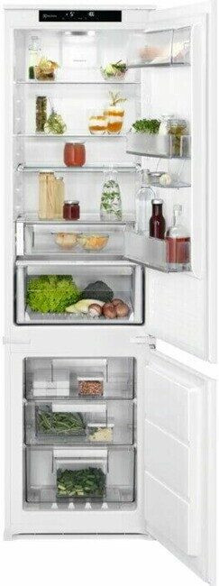 Встраиваемый холодильник Electrolux RNS 9TE19 S