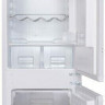 Встраиваемый холодильник Ascoli ADRF229BI